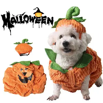 Animale De Companie Costume De Halloween Dovleac Model Amuzant Confortabil Drăguț Rochie De Catifea Pentru Câini De Talie Mică Halloween Câine Haine Pisici Pisoi