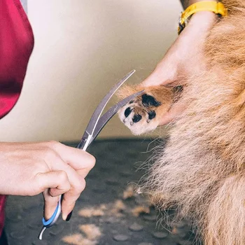 Animale De Companie Câine Profesionale Cap Rotund Intretinere Oțel Foarfece De Păr Inoxidabil Set Foarfece Portabil De Companie Tăiere Safty Animale