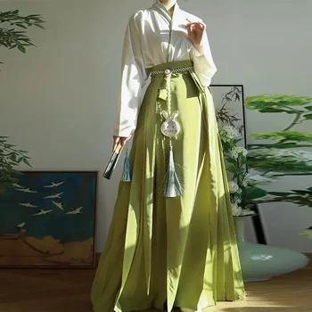 APA Fata de Cal Fusta Dinastiei Song Hanfu Femei Verde Rochii Chineză Tradițională Ma Mian Fusta de Toamna Iarna Uzura de zi cu Zi Stil