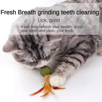 Curățarea Dinților Cat Molar Catnip Pisica Minge Minge Jucării Pentru Animale De Companie Pisica Pene Jucărie Jucărie Pisica Pisica Gustare Catnip