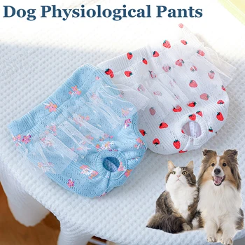 Câinele Fiziologice Pantaloni Scutec Haine Elasticitatea Lenjerie Chilotei Sifon Drăguț Menstrual Pantaloni Catelul Pisica Animal De Casă Supplies