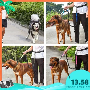 Hands Free Câine Lesa pentru Rularea de Mers pe jos de Formare Drumeții, Dual-Mâner Reflectorizante Bungee,Reglabil Centura de Talie, Absorbție de Șoc,