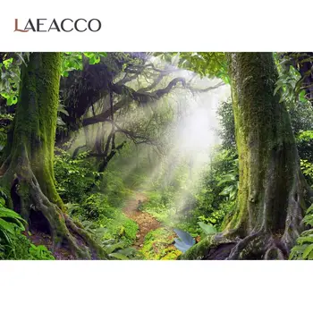 Laeacco Medii Naturale Pentru Fotografie, Pădure, Mușchi De Copac Arbust Tropical Vedere Pitorească Fotografice Fundal Pentru Studio Foto