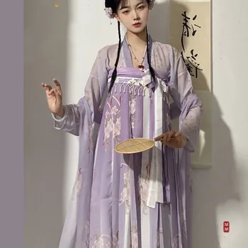 Tradițională Chineză Epocă Hanfu Femei Rochie Elegant Pearl Ciucure Print Floral Scena De Dans Rochie De Sex Feminin Dulce Printesa Seturi